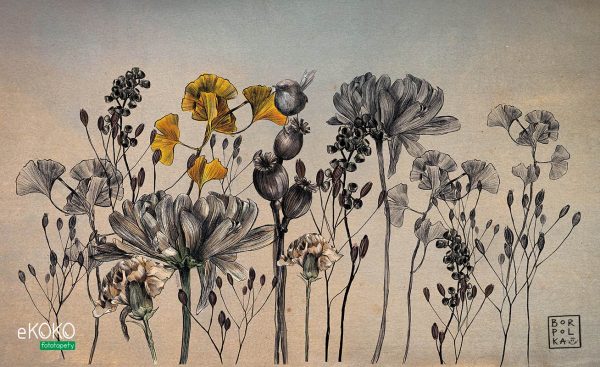 kwiaty i łodygi na ciemnym papierowym tle - fototapeta